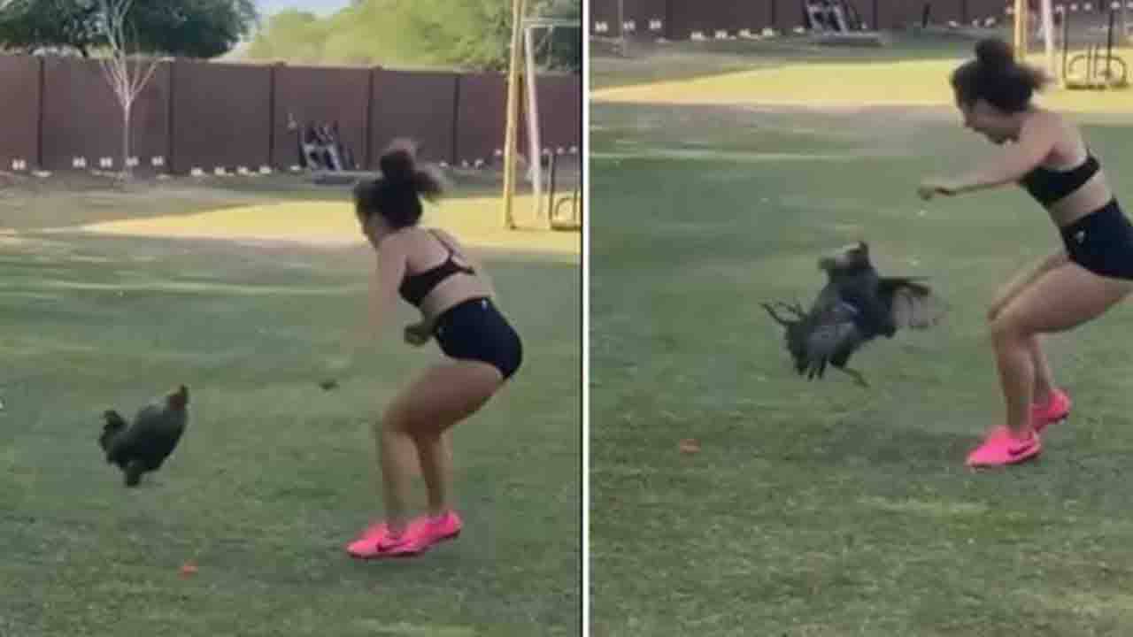 Viral Video: মুরগিকে ভয় দেখাতে গিয়ে নিজেই ভয়ে পালালেন! আসল মুরগি কে? প্রশ্ন নেটাগরিকদের