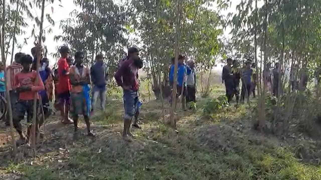 Chandrokona Body Recover: গাছের ডালে ঝুলছে দেহ, চন্দ্রকোণায় সাতসকালে ভয়ঙ্কর ঘটনা