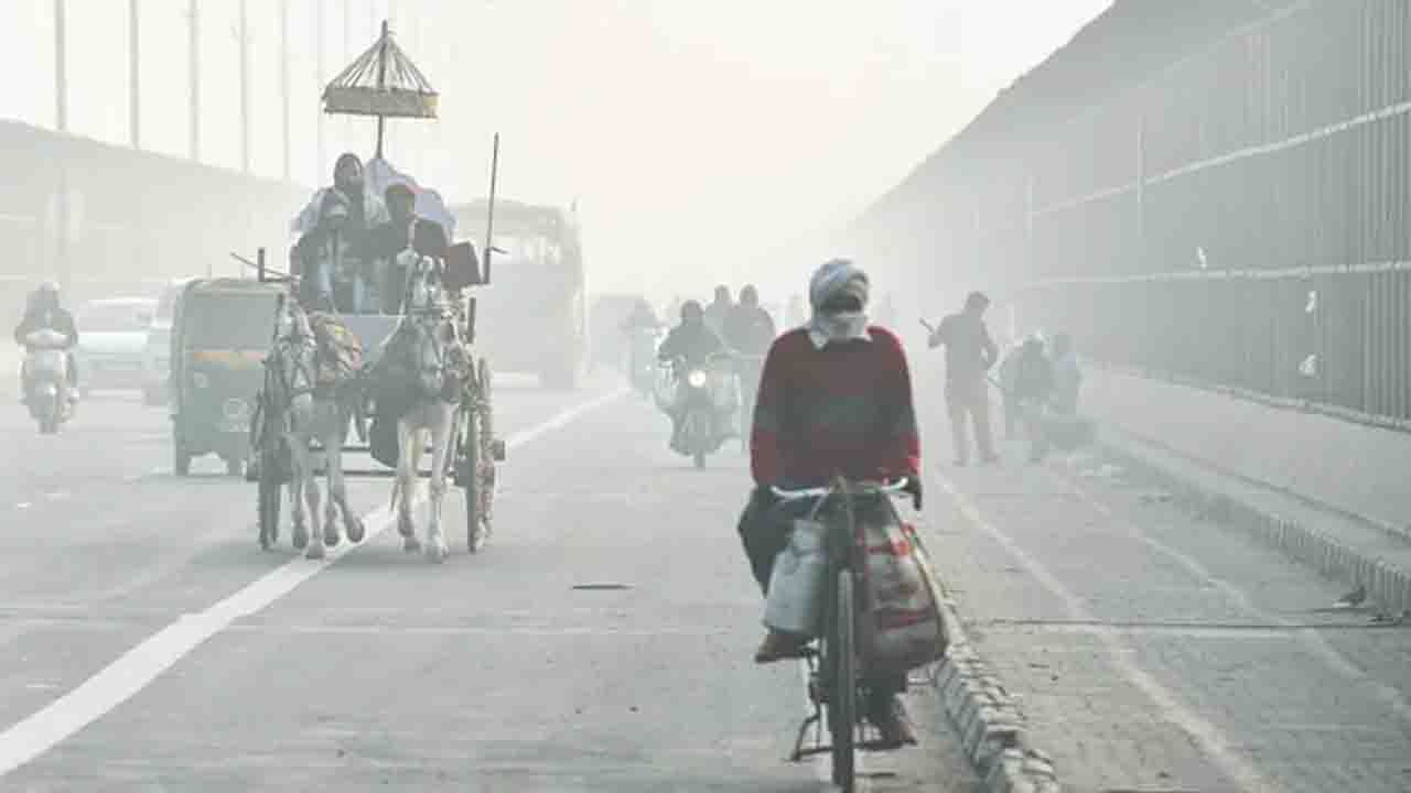 Weather Update: উত্তরের হাওয়া সরাসরি ঢুকছে রাজ্যে! সপ্তাহ শেষে পারদ নামবে ১৩ ডিগ্রিতে