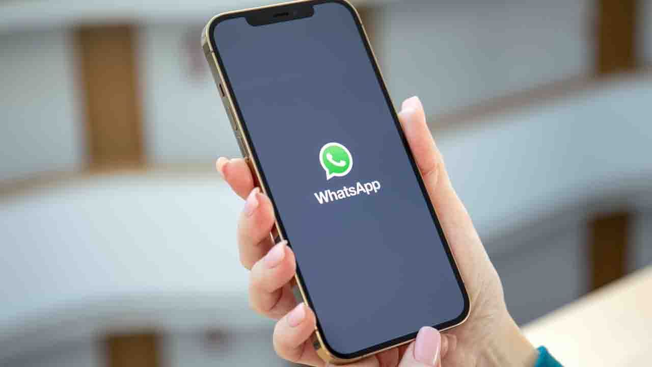 GB WhatsApp And WhatsApp Plus: এই দুই থার্ড পার্টি হোয়াটসঅ্যাপ ব্যবহার করলে ব্যান হতে পারে অ্যাকাউন্ট, আসল হোয়াটসঅ্যাপে ফিরে আসবেন কী ভাবে?