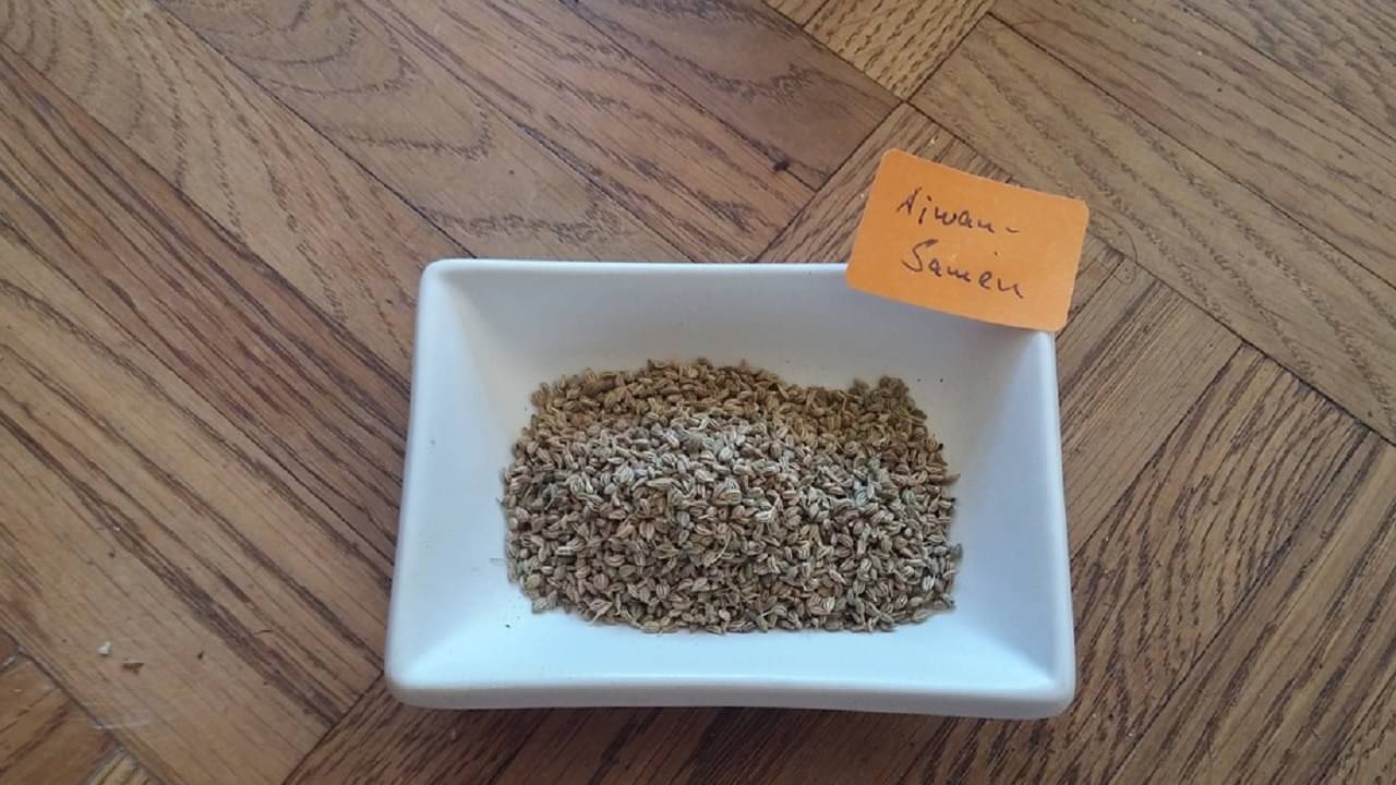 Ajwain Benefits: রোজ সকালে খালি পেটে জোয়ানের জল খেলে কী হয় জানেন?