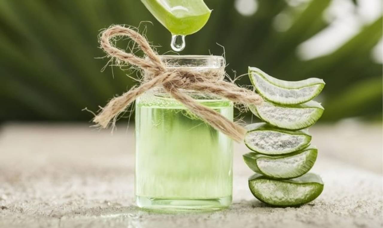 Aloe Vera Hair Mask: চুলের যাবতীয় সমস্যাকে বাই-বাই জানাতে অ্যালোভেরার হেয়ারমাস্ক কতটা উপযুক্ত, জানাচ্ছেন নেটিজ়েনরাই