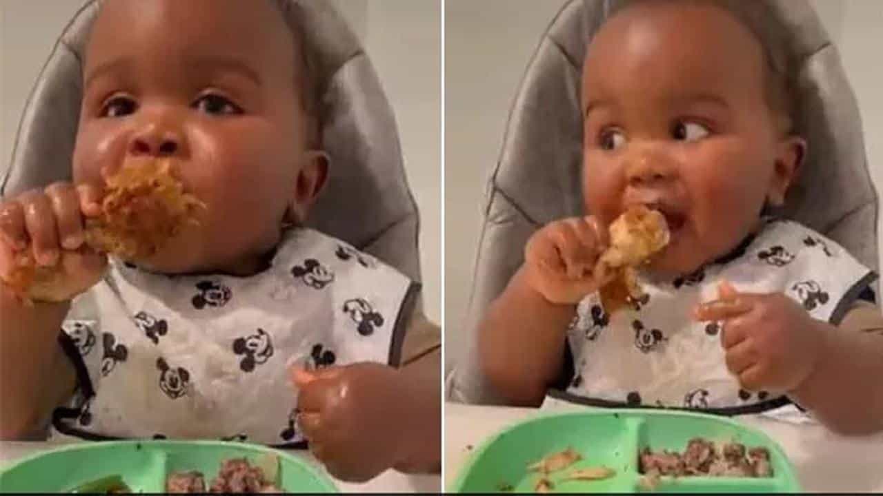 Viral video: একটা গোটা চিকেন উইং নিজের হাতেই মনের আনন্দে সাবাড় করছে একরত্তি! আদুরে ভিডিয়োতে মজল নেটপাড়া Viral video: একটা গোটা চিকেন উইং নিজের হাতেই মনের আনন্দে সাবাড় করছে একরত্তি! আদুরে ভিডিয়োতে মজল নেটপাড়া