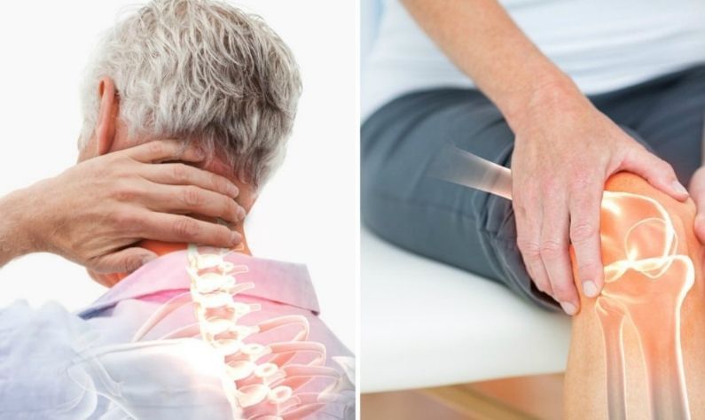 Bones Health: পিঠের ব্যাথায় জেরবার? আপনার হাড় আদৌও মজবুত কিনা তা বুঝবেন কীভাবে? Bones Health: পিঠের ব্যাথায় জেরবার? আপনার হাড় আদৌও মজবুত কিনা তা বুঝবেন কীভাবে?
