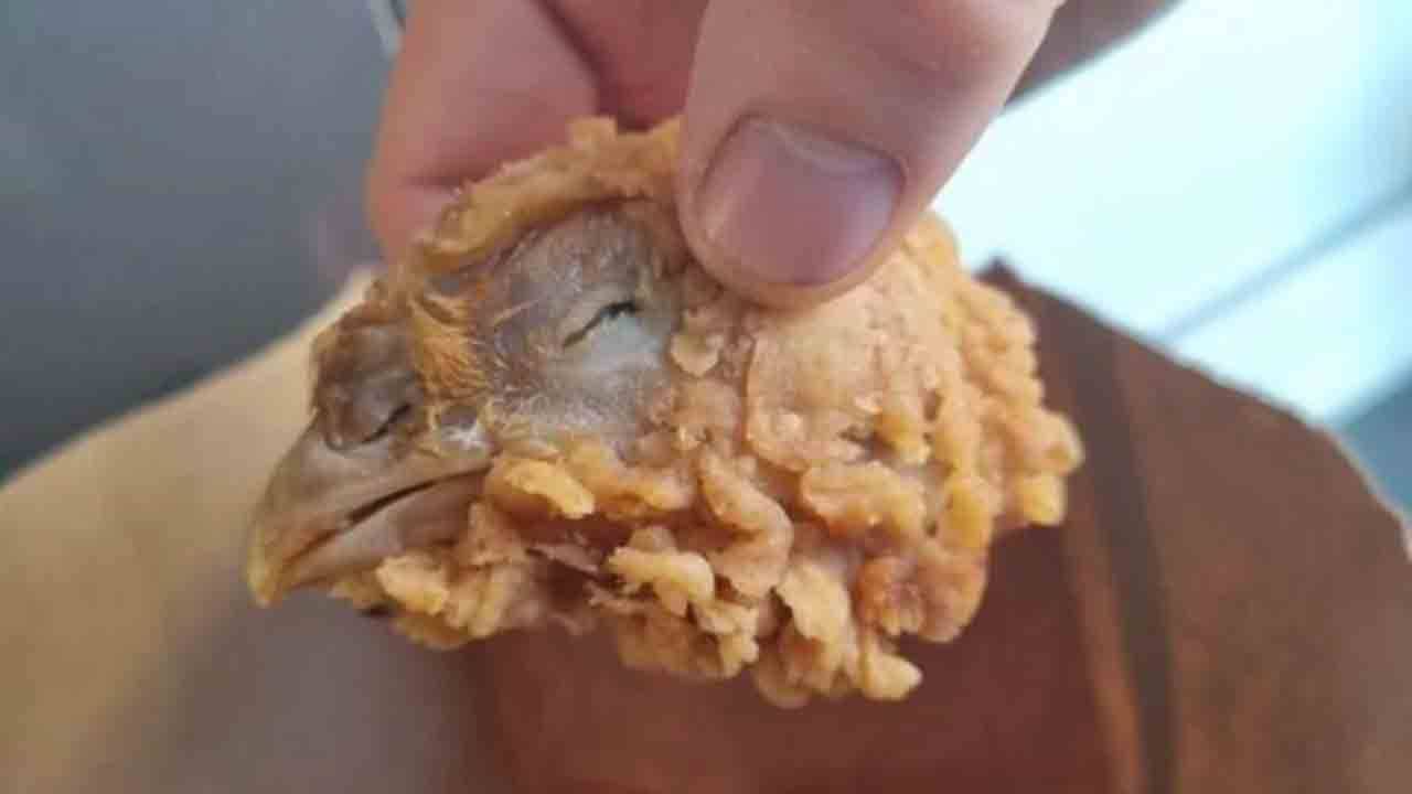 Viral: কেএফসির হট উইংসে মুরগির মাথা! স্পষ্ট দেখা যাচ্ছে ঠোঁট-চোখ, ছবি ভাইরাল হতেই হইচই নেটপাড়ায়