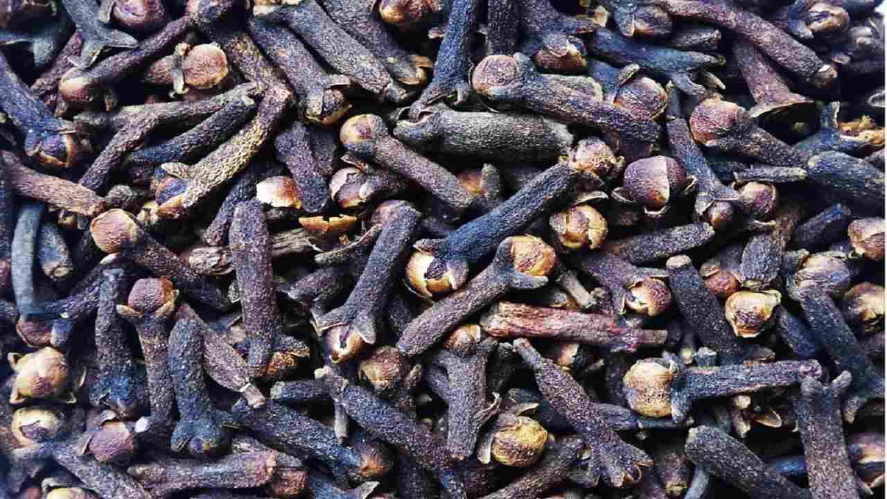 Sugar Cravings কমবে মিষ্টির প্রতি লোভ, নিয়ন্ত্রণে থাকবে সুগারও! যদি