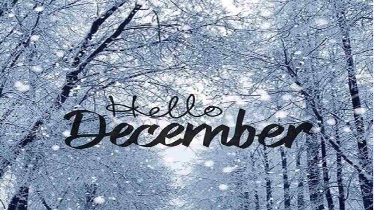 December: ডিসেম্বরেই জন্মদিন? মানুষ হিসেবে আপনি কেমন! জেনে নিন...