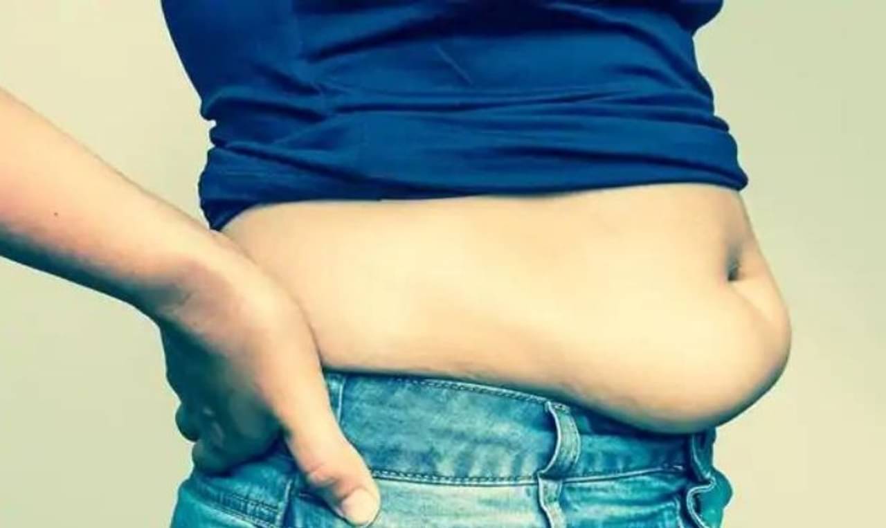 Belly Fat Burn: পেটের জেদি মেদ ঝরাতে এবার ভরসা রাখুন আয়ুর্বেদে! ৫টি ঘরোয়া নিয়ম মানলেই হবে কেল্লাফতে
