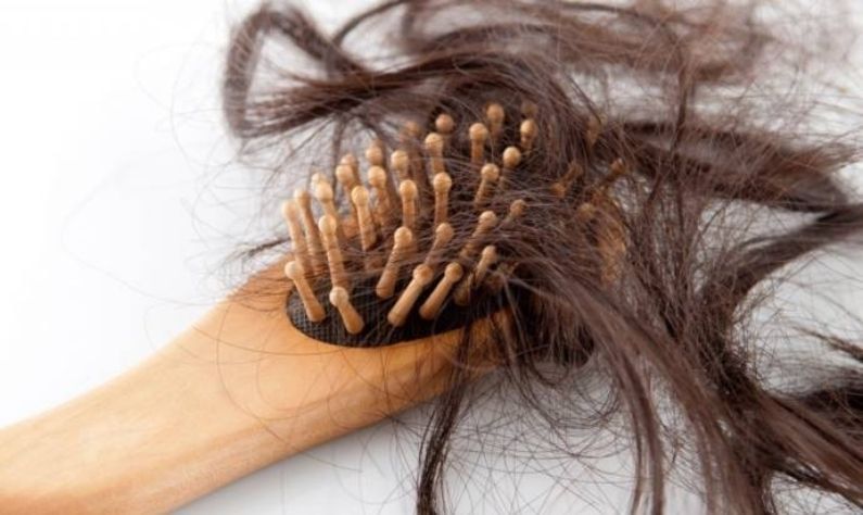 Hair Loss Problems: শীতকালে চুল পড়া বন্ধ করতে বিদেশি পণ্য নয়, আয়ুর্বেদ টোটকাতে ভরসা রাখুন