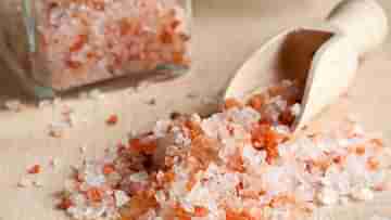 Himalayan Pink Salt: সাধারণ লবণের পরিবর্তে‌ হিমালয়ান পিংক সল্টকে খাদ্যতালিকায় রাখুন! মিলবে একাধিক স্বাস্থ্য উপকারিতা