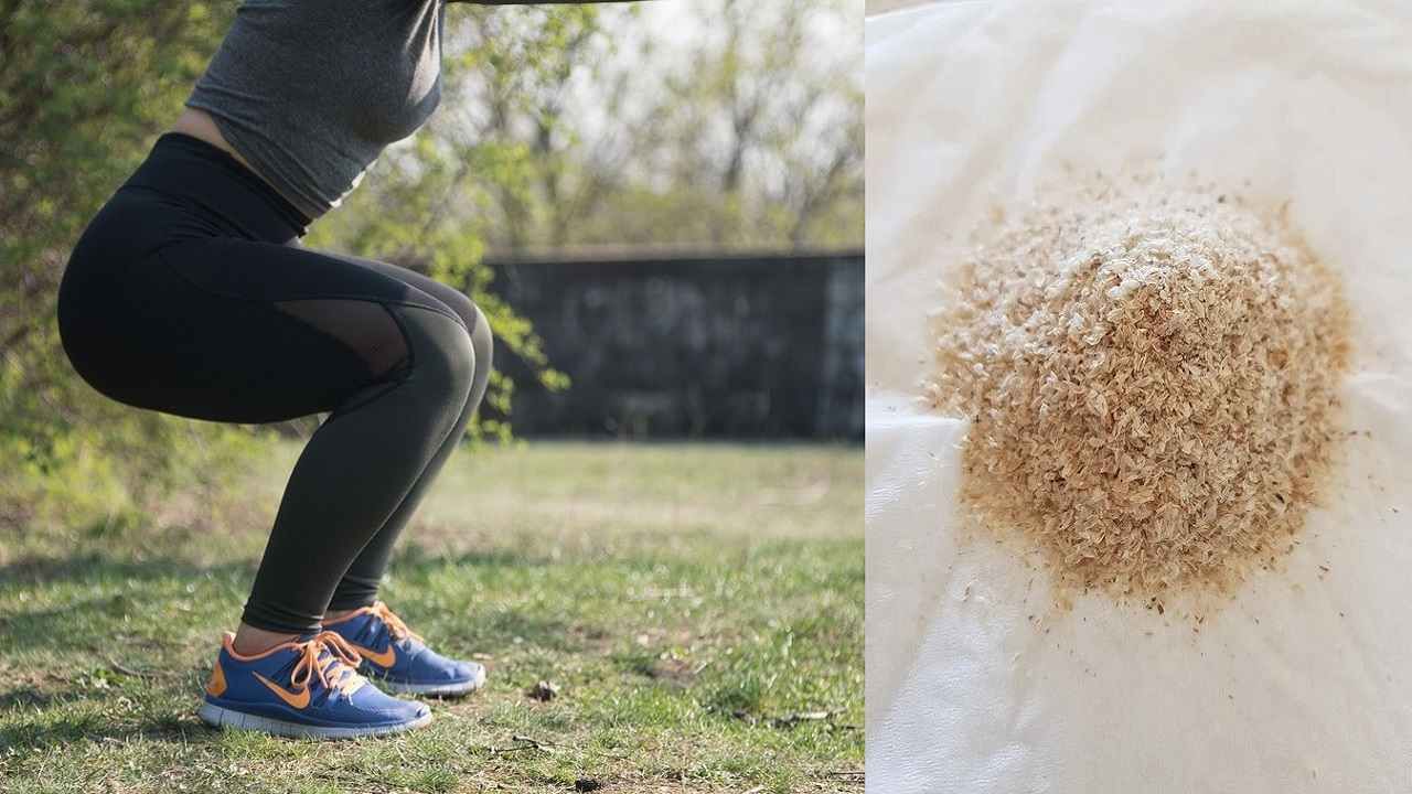 Psyllium Husk: পেট পরিষ্কার রাখতে যেমন সাহায্য করে তেমনই কিন্তু ওজন কমাতেও সাহায্য করে ইসবগুল! জানতেন? Psyllium Husk: পেট পরিষ্কার রাখতে যেমন সাহায্য করে তেমনই কিন্তু ওজন কমাতেও সাহায্য করে ইসবগুল! জানতেন?