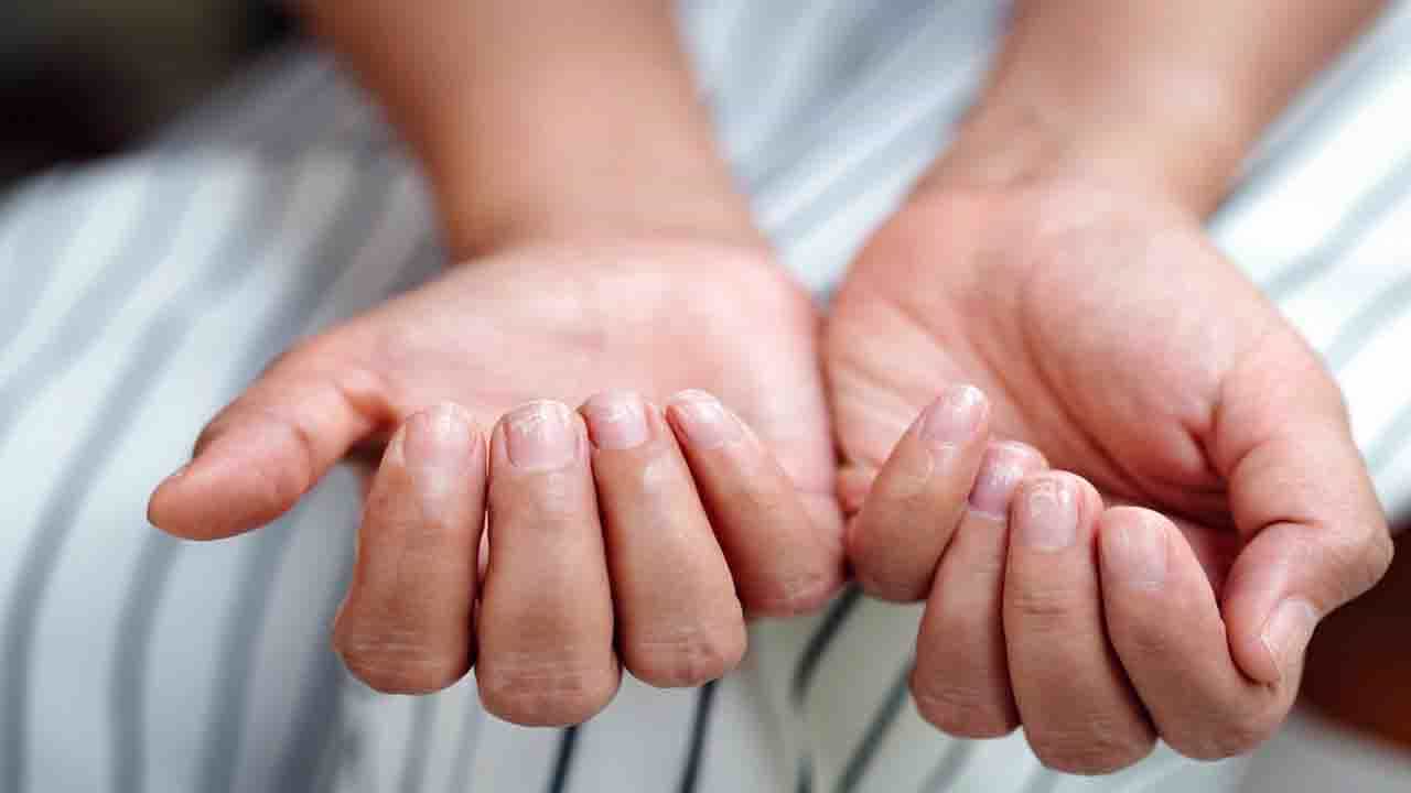 Iron Deficiency: শুধু রক্তাল্পতা নয়, আয়রনের অভাবে একাধিক রোগের উৎপত্তি হতে পারে জানেন? Iron Deficiency: শুধু রক্তাল্পতা নয়, আয়রনের অভাবে একাধিক রোগের উৎপত্তি হতে পারে জানেন?