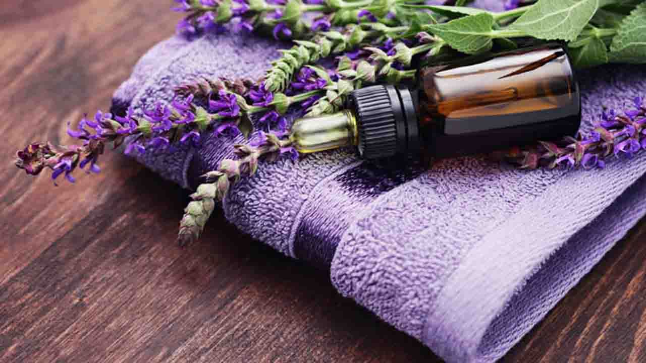 Lavender Oil: শীতে ক্ষয় হচ্ছে ত্বকের? কাজে আসবে ল্যাভেন্ডার অয়েল