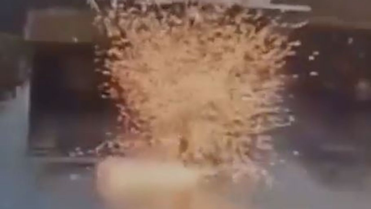 Viral Video of Lightning Strike: ছাতা নিয়ে হাঁটছিলেন, আচমকাই মাথায় পড়ল বাজ! দেখুন সেই ভিডিয়ো