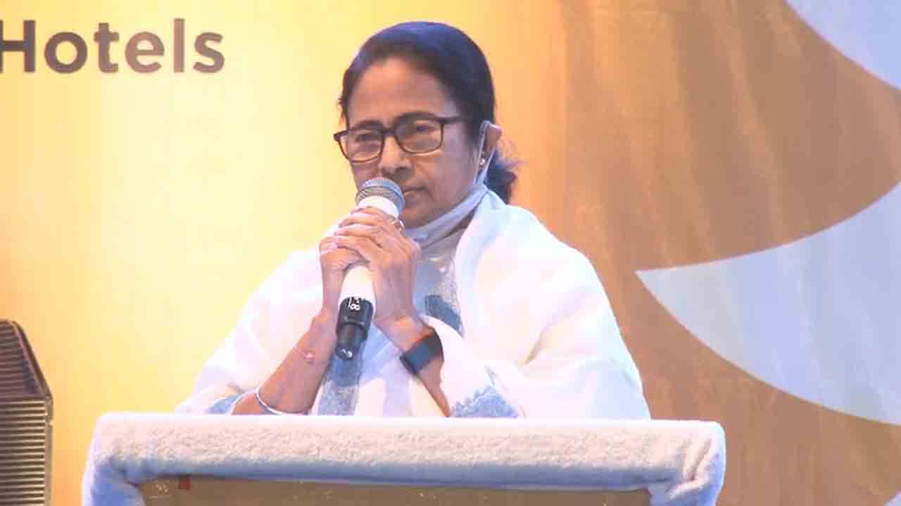 Christmas Festival: মনে মনে মেলামেশা করুন... ওমিক্রন নিয়ে সতর্ক করলেন মমতা