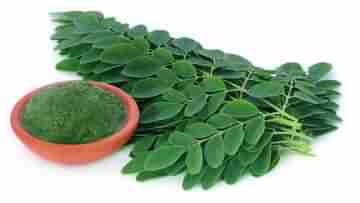 Moringa: ফের চোখ রাঙাচ্ছে কোভিড, ইমিউনিটি বাড়াতে পাতে রাখুন সজনে পাতা! পরামর্শ পুষ্টিবিদের