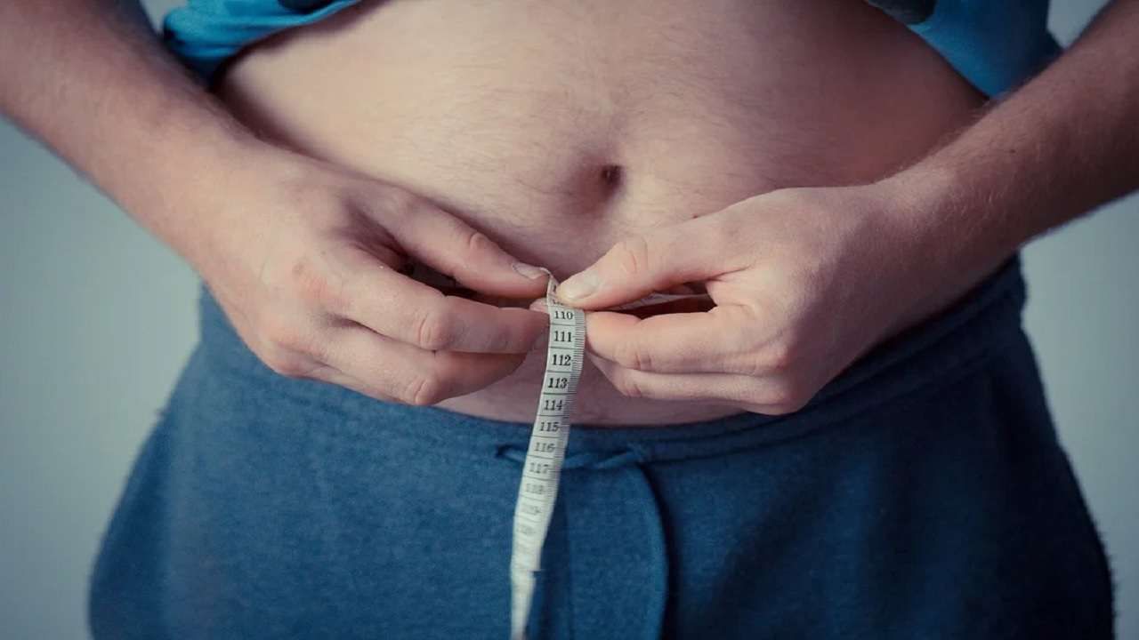 Obesity আতঙ্কের নাম ওবেসিটি, বাড়তে থাকা এই সমস্যাই বাড়িয়ে দিচ্ছে অসুখের ঝুঁকি সমীক্ষা