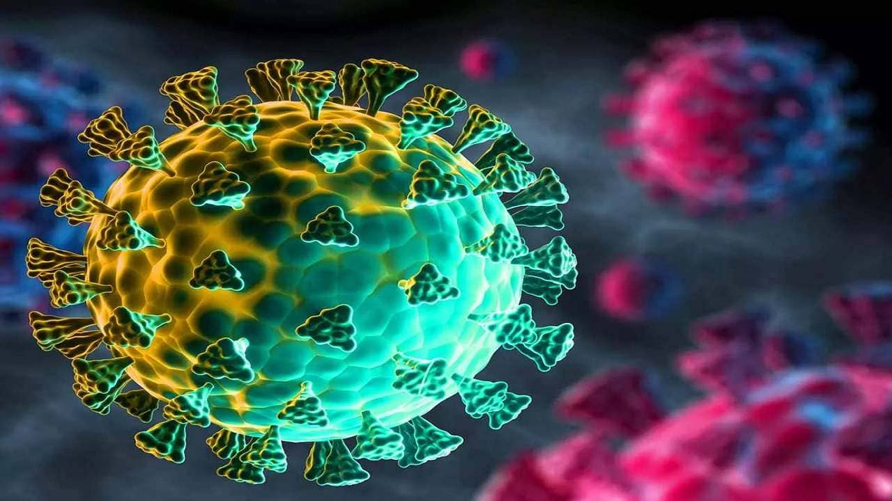 Omicron: ওমিক্রন-মুক্ত পুনের একরত্তি, উপসর্গহীন ৩ বছরের শিশুও