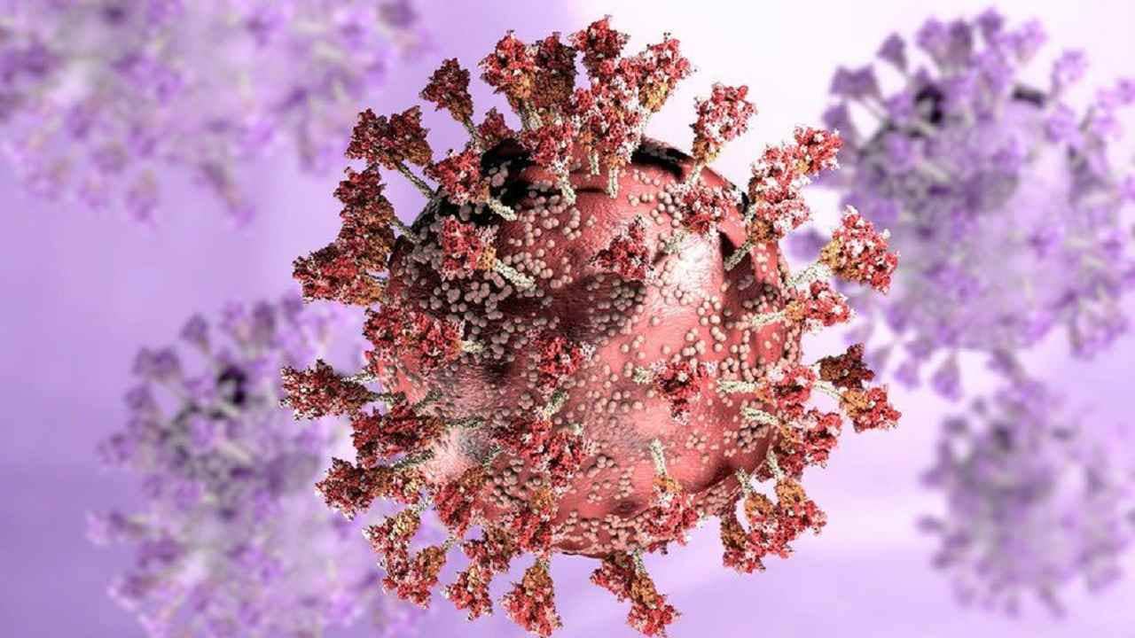 New Omicron Cases in India: কেরলেও পৌঁছল ওমিক্রন, ৩ রাজ্যে নতুন করে আক্রান্ত আরও ৩