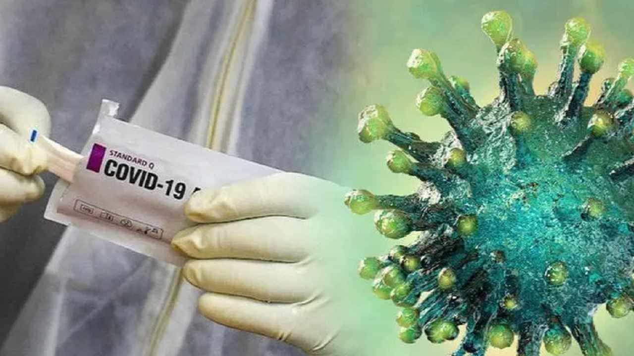 Omicron Variant: লড়াই থেমে যাবে ওমিক্রনের! চার নতুন অ্যান্টিবডির খোঁজ পেয়ে আশা জাগছে গবেষকদের