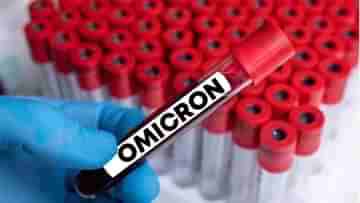New Omicron Cases in India: আরও ভয় ধরাচ্ছে ওমিক্রন, চণ্ডীগঢ়-অন্ধ্র প্রদেশেও মিলল আক্রান্তের খোঁজ