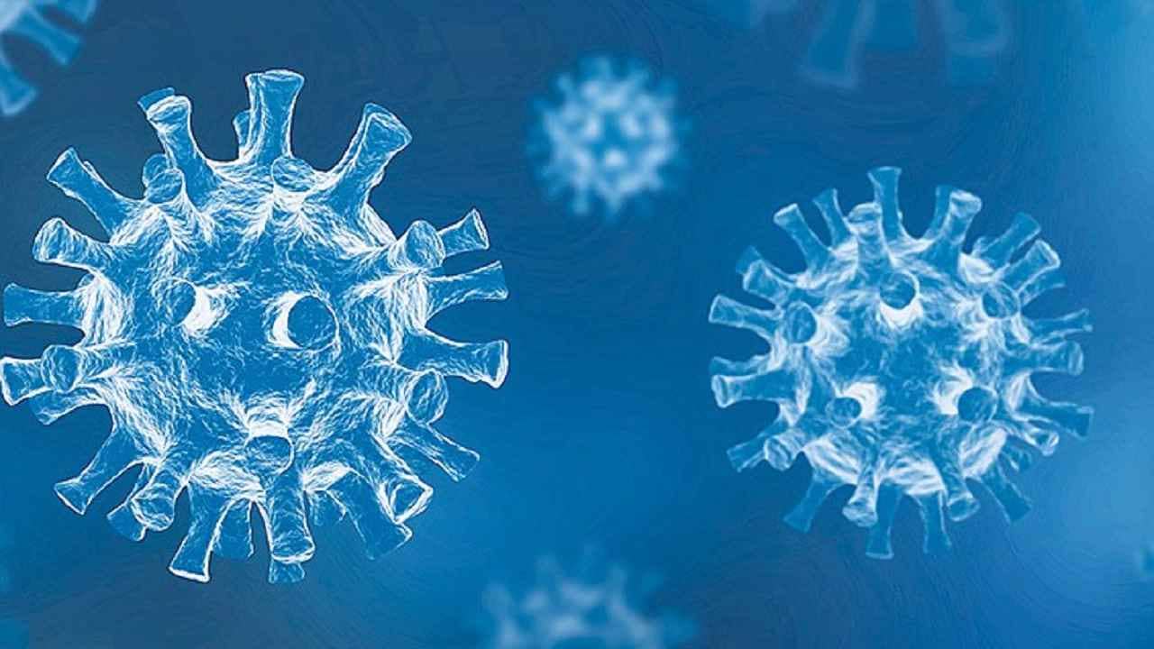 Omicron VS Delta: ডেল্টার সঙ্গে করোনার নতুন এই ভ্যারিয়েন্টের কী ভাবে ফারাক করবেন?