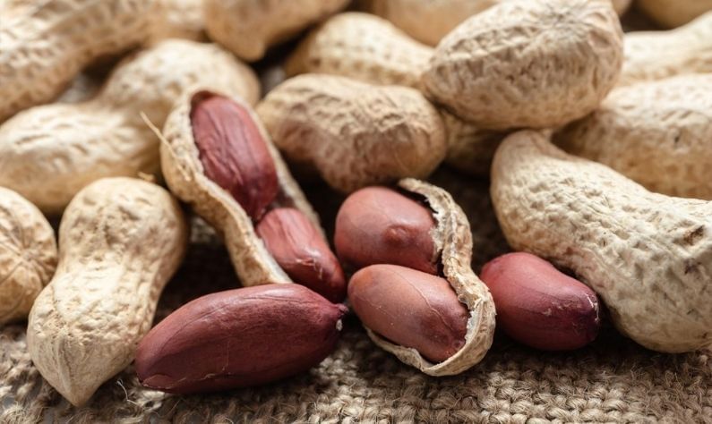 Peanuts: শীতকালে চিনাবাদাম খাওয়া কি উচিত? খেলে কারা কারা খাবেন, তা জেনে রাখা ভাল
