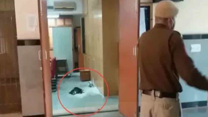 Rohini Court Explosion: বিস্ফোরণে কেঁপে উঠল রোহিনী কোর্ট চত্বর, তদন্তে ফরেন্সিক টিম