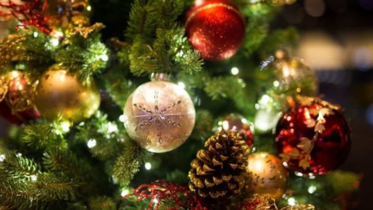 Christmas Tree: বড়দিনে ক্রিসমাস ট্রি কেন সুন্দর করে সাজানো হয়? এর জন্য ব্যবহৃত জিনিসগুলির আলাদা অর্থই বা কী? Christmas Tree: বড়দিনে ক্রিসমাস ট্রি কেন সুন্দর করে সাজানো হয়? এর জন্য ব্যবহৃত জিনিসগুলির আলাদা অর্থই বা কী?