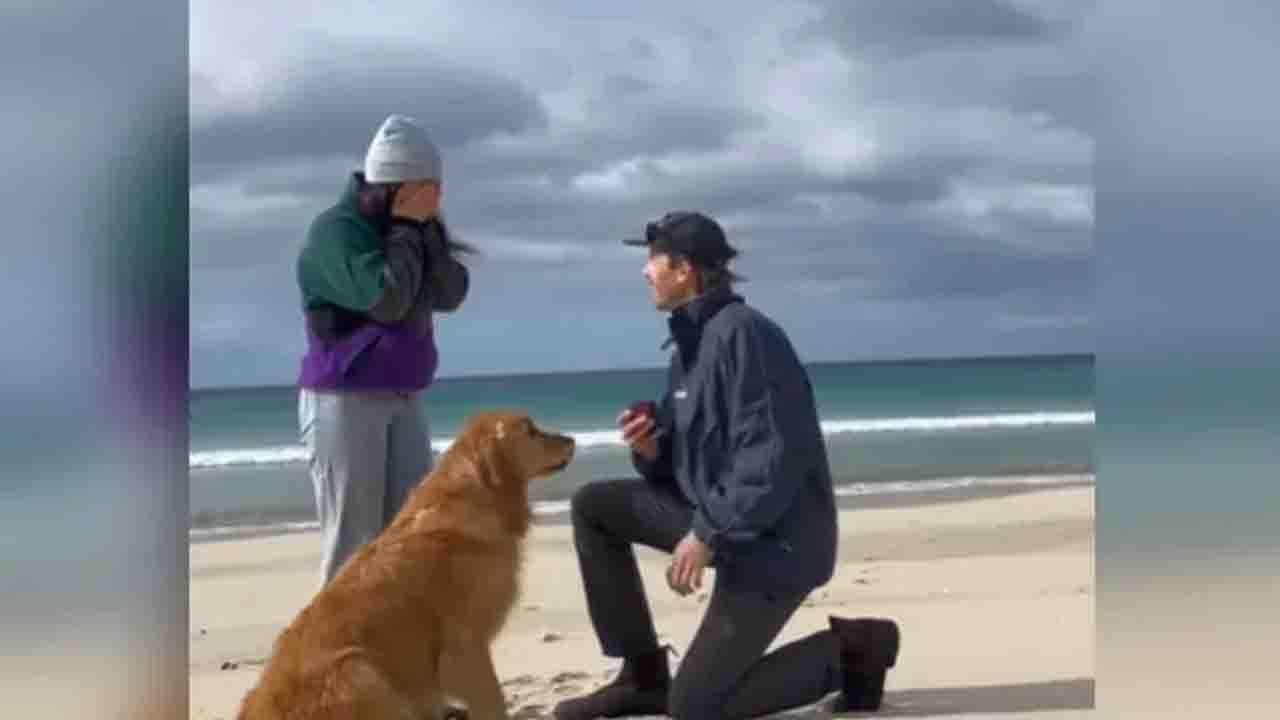 Viral Video: মালিকের আনন্দে আত্মহারা! কীভাবে সেই আনন্দ দেখালো পোষ্য, দেখুন ভাইরাল ভিডিয়োয়