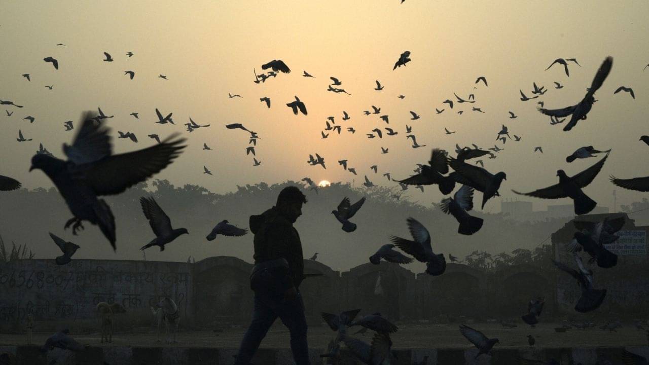 Weather Updates: দুয়ারে শীত, আয়ু কতদিন? পারদপতন হলেও স্বস্তি নেই, বলছে হাওয়া অফিস
