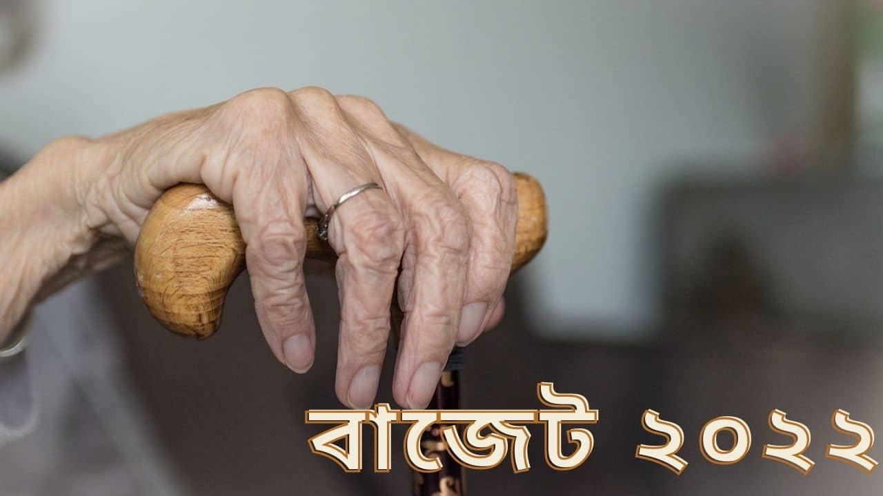 Budget 2022: আয়করে ছাড় থেকে বিশেষ ভাতা, নির্মলার বাজেট থেকে কী প্রত্যাশা অবসরপ্রাপ্তদের?