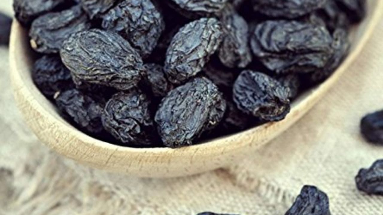 Black Raisins Benefits: কালো কিশমিশ খাওয়ার একাধিক স্বাস্থ্যকর উপকারিতা আছে, সবিস্তারে জেনে নিন...