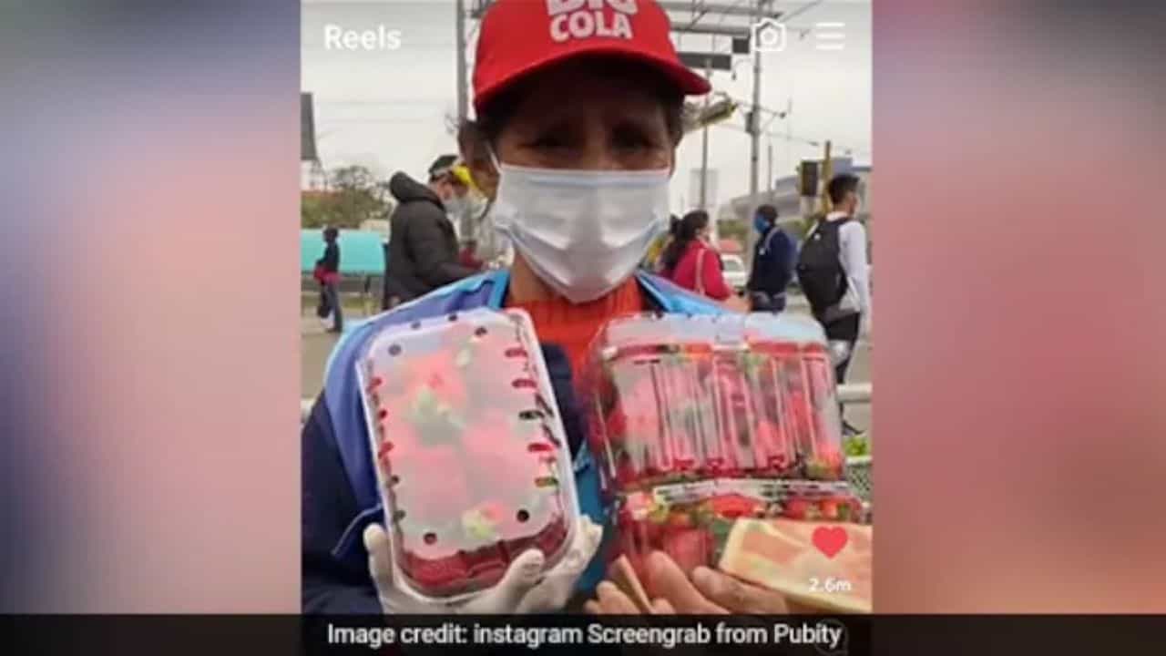 Viral Video: গরীব মহিলার থেকে স্ট্রবেরি কিনে নিলেন ঠিকই, কিন্তু তারপর এই ব্যক্তি কী করলেন তা দেখে অবাক হবেন... Viral Video: গরীব মহিলার থেকে স্ট্রবেরি কিনে নিলেন ঠিকই, কিন্তু তারপর এই ব্যক্তি কী করলেন তা দেখে অবাক হবেন...