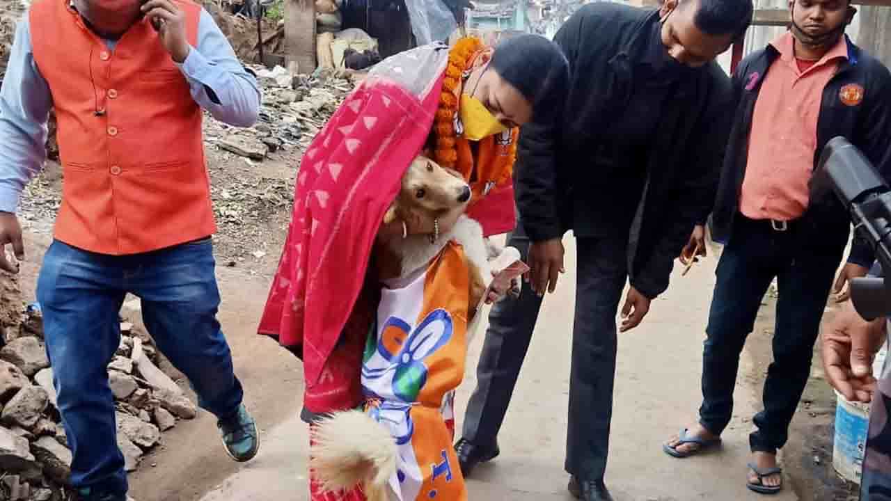 Asansol Municipal Election: বিজেপির প্রচারে সারাদিন অগ্নিমিত্রাকে পাহারা দিল 'তৃণমূলের' টাইগার Asansol Municipal Election: বিজেপির প্রচারে সারাদিন অগ্নিমিত্রাকে পাহারা দিল 'তৃণমূলের' টাইগার