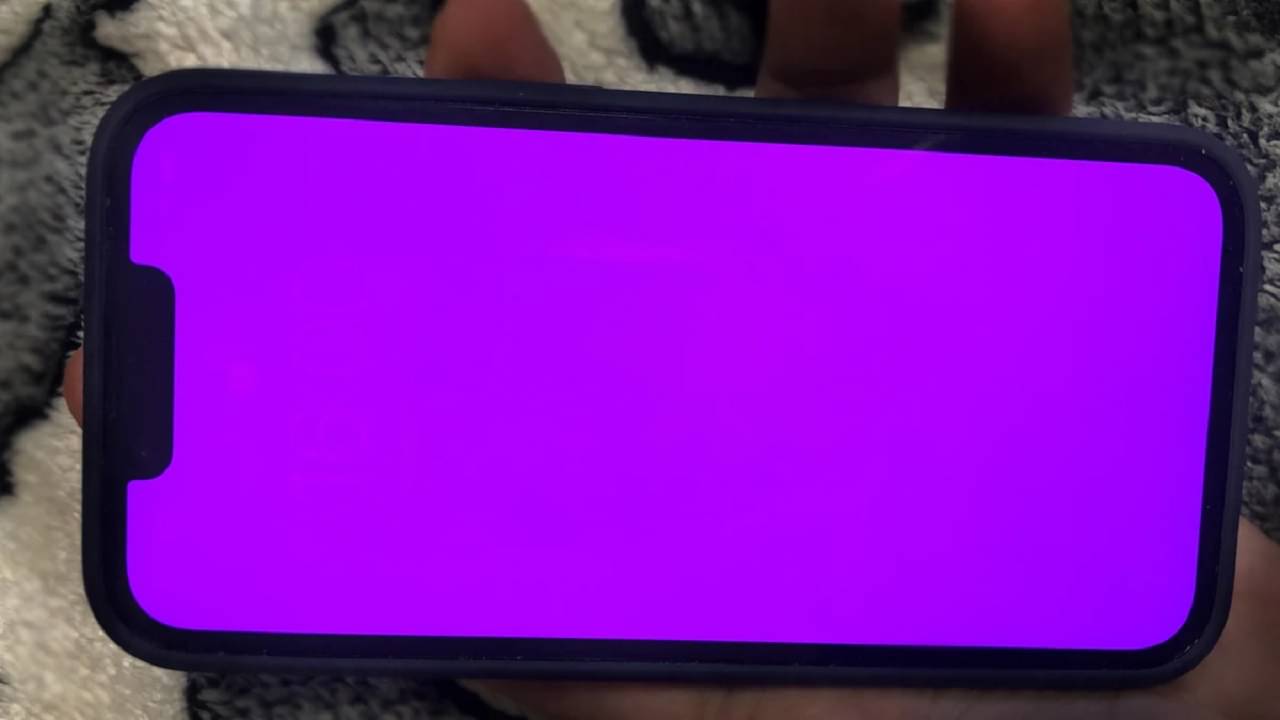 iPhone 13 Pink Screen Issue: আইফোন ১৩ সিরিজের ফোনে স্ক্রিন সমস্যা, কয়েক সেকেন্ডের জন্য গোলাপি হয়ে যাচ্ছে, অভিযোগ ইউজারদের