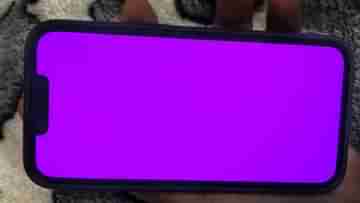 iPhone 13 Pink Screen Issue: আইফোন ১৩ সিরিজের ফোনে স্ক্রিন সমস্যা, কয়েক সেকেন্ডের জন্য গোলাপি হয়ে যাচ্ছে, অভিযোগ ইউজারদের