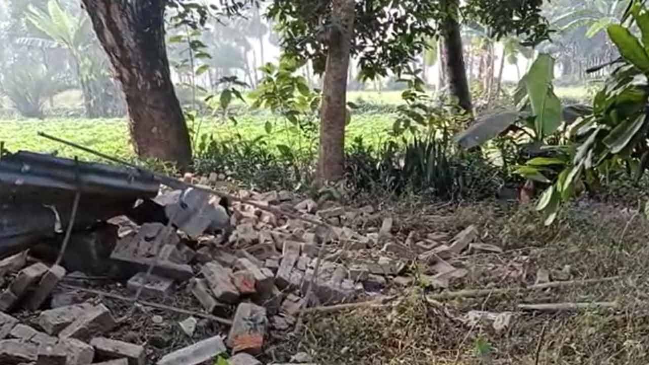 Beldanga Bomb Blast: আচমকাই বিকট শব্দ, উড়ে গেল যুবকের হাত! ভয়ঙ্কর কাণ্ড বেলডাঙায়