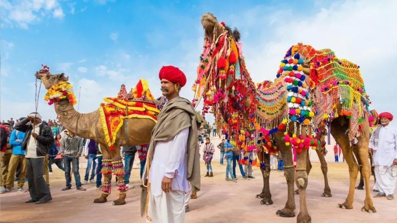 Bikaner Camel Festival 2022: ওমিক্রনের কারণে স্থগিত বিকানেরে বিখ্যাত উটের উত্‍সব! জেনে নিন এই উত্‍সব সম্পর্কে অজানা তথ্য