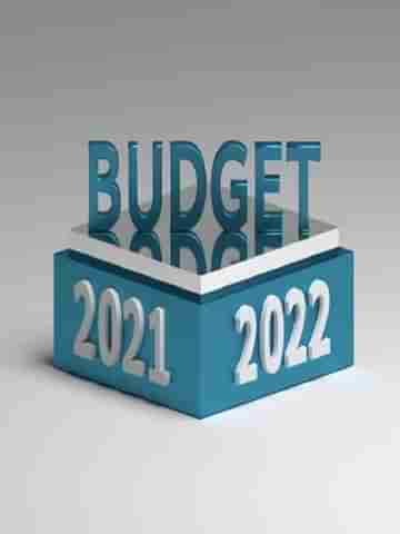 Budget 2022 : ২১ এর ২২ এও  বজায় থাকবে স্টার্টআপের রমরমা? বাজেট থেকে কী আশা করতে পারে ইউনিকর্ন সংস্থাগুলি