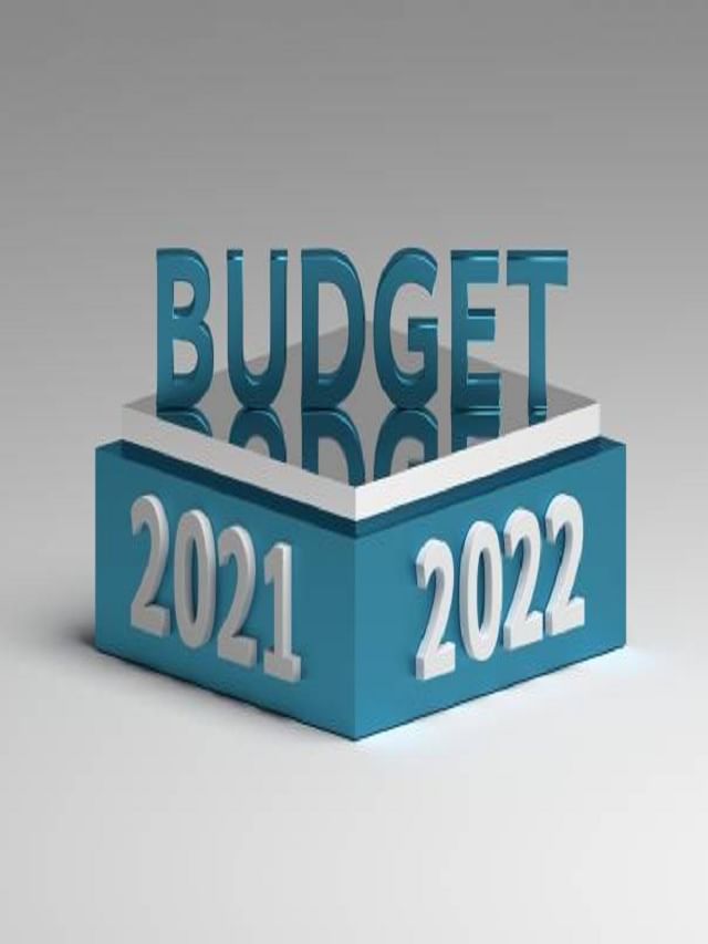 Budget 2022 : ২১ এর ২২ এও  বজায় থাকবে স্টার্টআপের রমরমা? বাজেট থেকে কী আশা করতে পারে ইউনিকর্ন সংস্থাগুলি