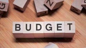 Budget 2022: এবার বাজেটে কোন কোন ক্ষেত্রে, কী প্রত্যাশা? একনজরে