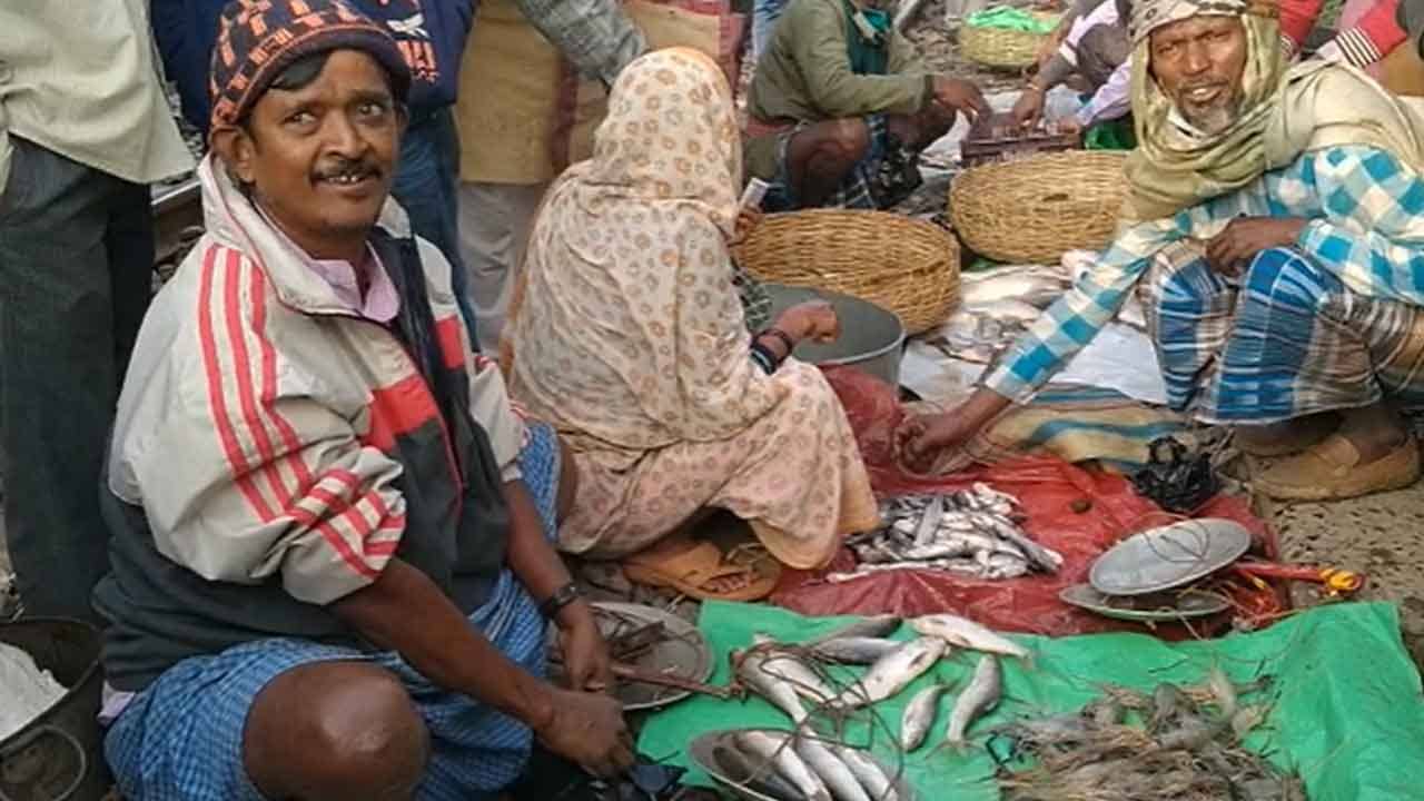 Canning Rail Strike: সব তো যাবে সব পচে, প্রচুর টাকার ক্ষতি! বিক্ষোভ দেখাতে দেখাতেই লাইনের ধারে বিকোচ্ছেন মাছও!