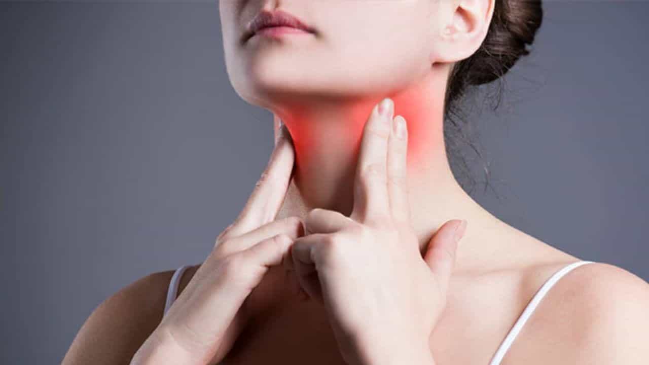 Thyroid Awareness Month: সচেতন হোন! থাইরয়েড সম্পর্কিত এই ভুল ধারণাগুলিকে ঝেড়ে ফেলে দিন Thyroid Awareness Month: সচেতন হোন! থাইরয়েড সম্পর্কিত এই ভুল ধারণাগুলিকে ঝেড়ে ফেলে দিন