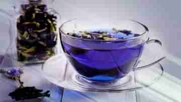 Blue Tea: অপরাজিতা ফুলের চা এখন বিশ্ববিখ্যাত! ওজন ও স্ট্রেস কমাতে এই নীল চায়ের রয়েছে বিশেষ গুণ