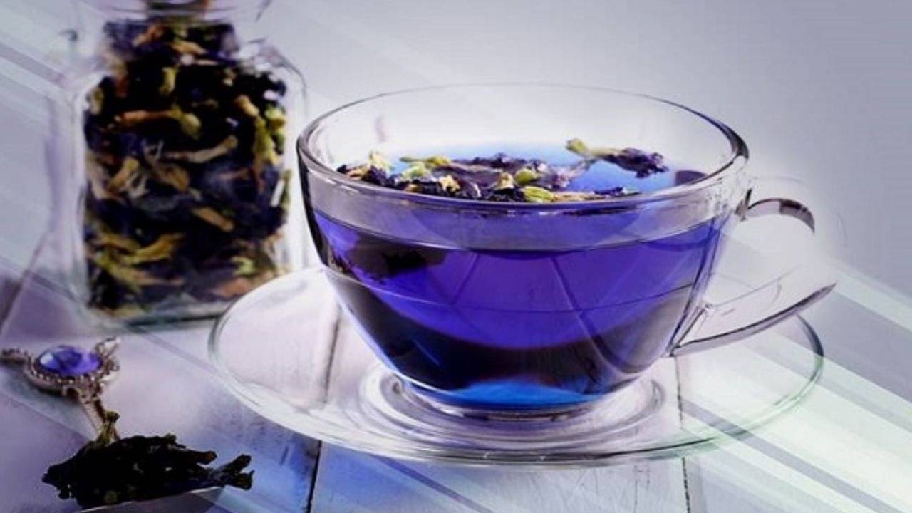 Blue Tea: অপরাজিতা ফুলের চা এখন বিশ্ববিখ্যাত! ওজন ও স্ট্রেস কমাতে এই নীল চায়ের রয়েছে বিশেষ গুণ
