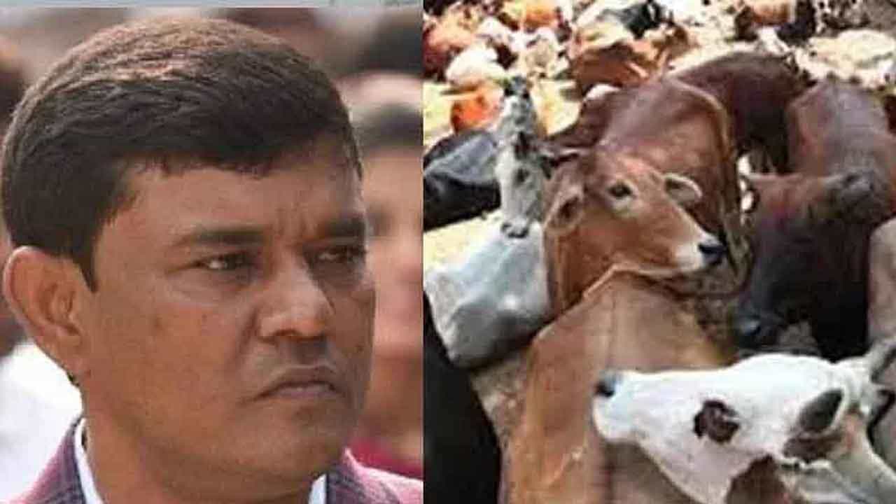 Cattle Smuggling Case: গরু পাচার মামলায় চাঞ্চল্যকর মোড়! ইডির হাতে গ্রেফতার এনামুল হক Cattle Smuggling Case: গরু পাচার মামলায় চাঞ্চল্যকর মোড়! ইডির হাতে গ্রেফতার এনামুল হক