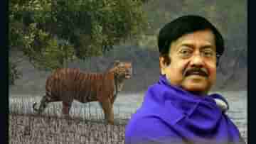 Bengal Tiger: বঙ্গে কত বাঘ? সুন্দরবনে পরপর ব্যাঘ্রের ব্যগ্র আগমনে সুমারির পথেই সরকার