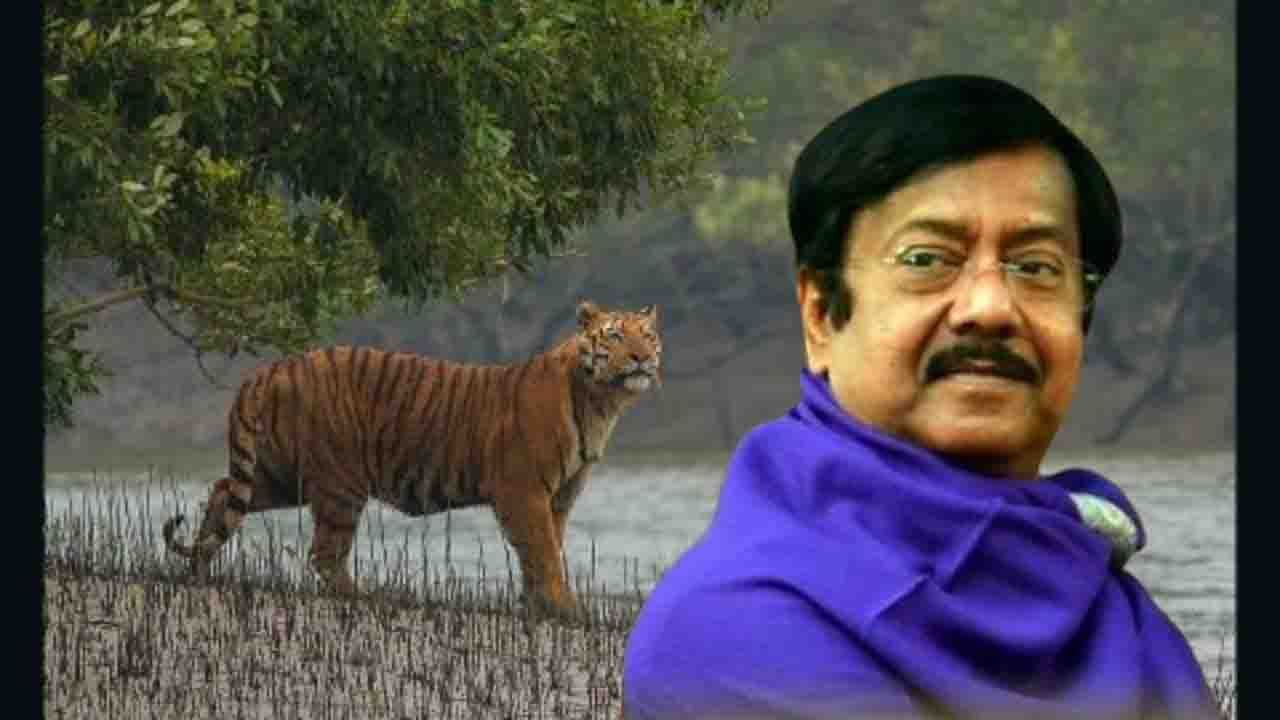 Bengal Tiger: বঙ্গে কত বাঘ? সুন্দরবনে পরপর ব্যাঘ্রের ব্যগ্র আগমনে সুমারির পথেই সরকার