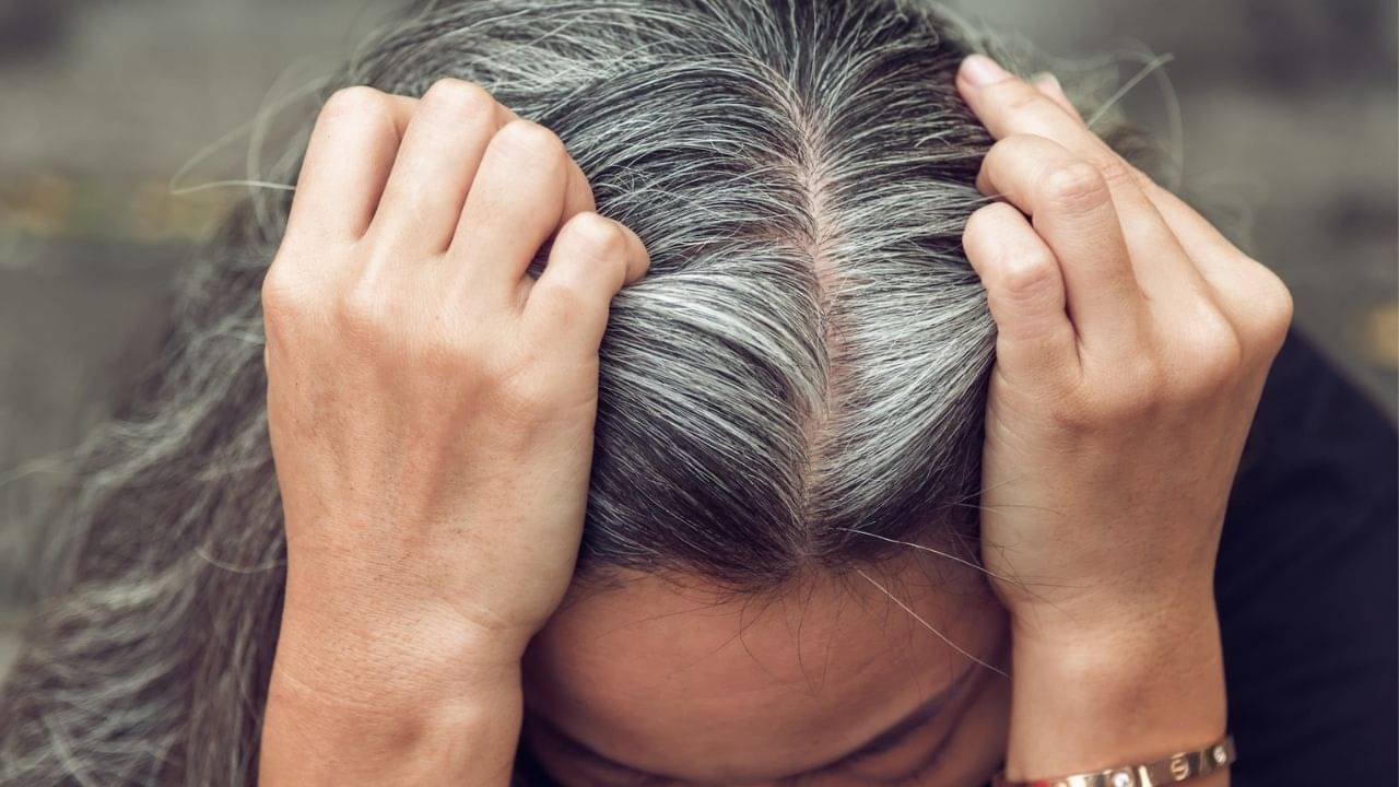 Grey Hair Problems: কম বয়সেই চুল পেকে যাচ্ছে? ঘরোয়া উপায়ে চুল কালো করবেন কীভাবে,জানুন...